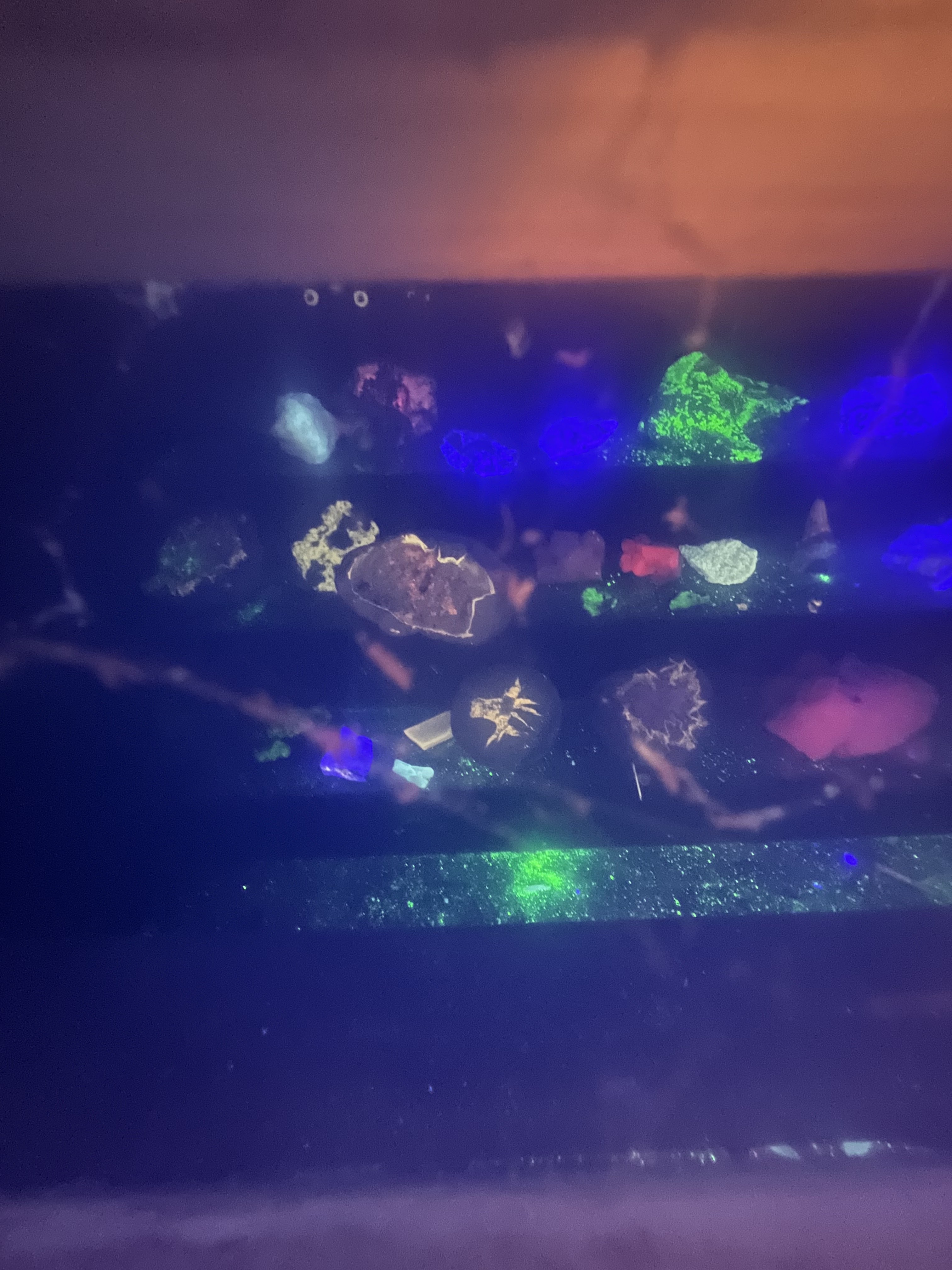 Photo n° 17 de l'avis de Lucille.p fait le 10/08/2023 à 21:42