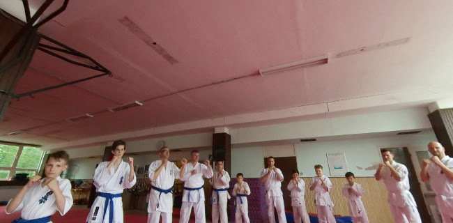 Magyar Shinkyokushin Karate Szervezet Kálóczi Branch - Siófok