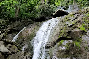 Upper Shamokin Falls Trail image