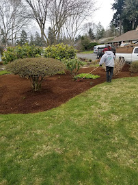 Marco's Landscaping - Photo 8 - Car repair in , Tacoma
