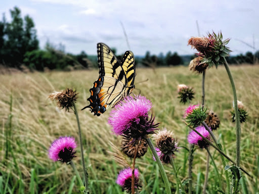 Park «Little Mulberry Park», reviews and photos, 3855 Hog Mountain Rd, Hoschton, GA 30548, USA