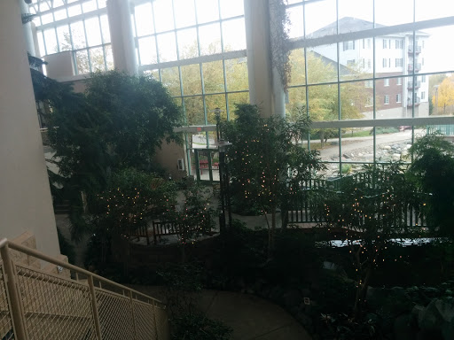 Wedding Venue «Woodbury Central Park», reviews and photos, 8595 Central Park Pl, Woodbury, MN 55125, USA