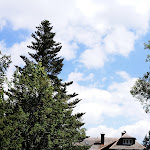 Photo n°6 de l'avis de hanne.e fait le 06/08/2019 à 12:33 sur le  Hotel Restaurant Belchen-Multen à Aitern