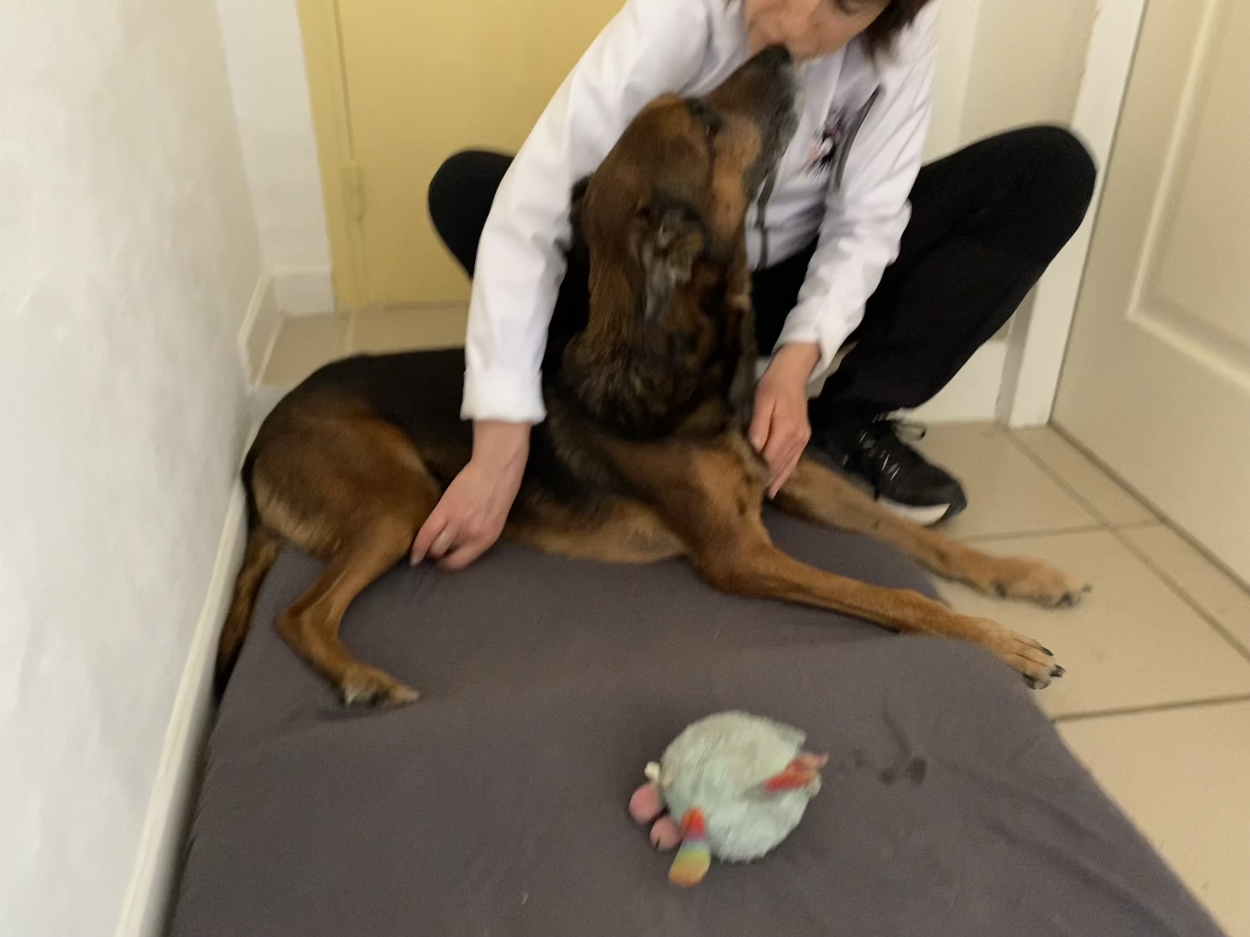 Photo n° 1 de l'avis de Elaurie.a fait le 23/02/2024 à 16:08