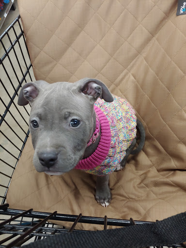 Pet Supply Store «Petco Animal Supplies», reviews and photos, 2842 NW 63rd St, Oklahoma City, OK 73116, USA