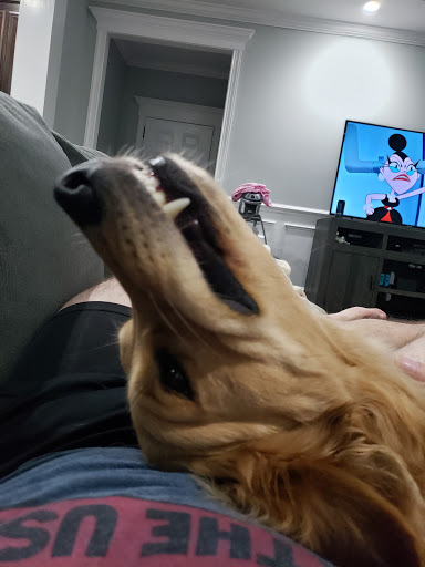 Pet Supply Store «PetSmart», reviews and photos, 1700 Norman Dr #200, Valdosta, GA 31601, USA