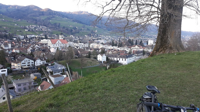 Big Tree Lookout - Schule