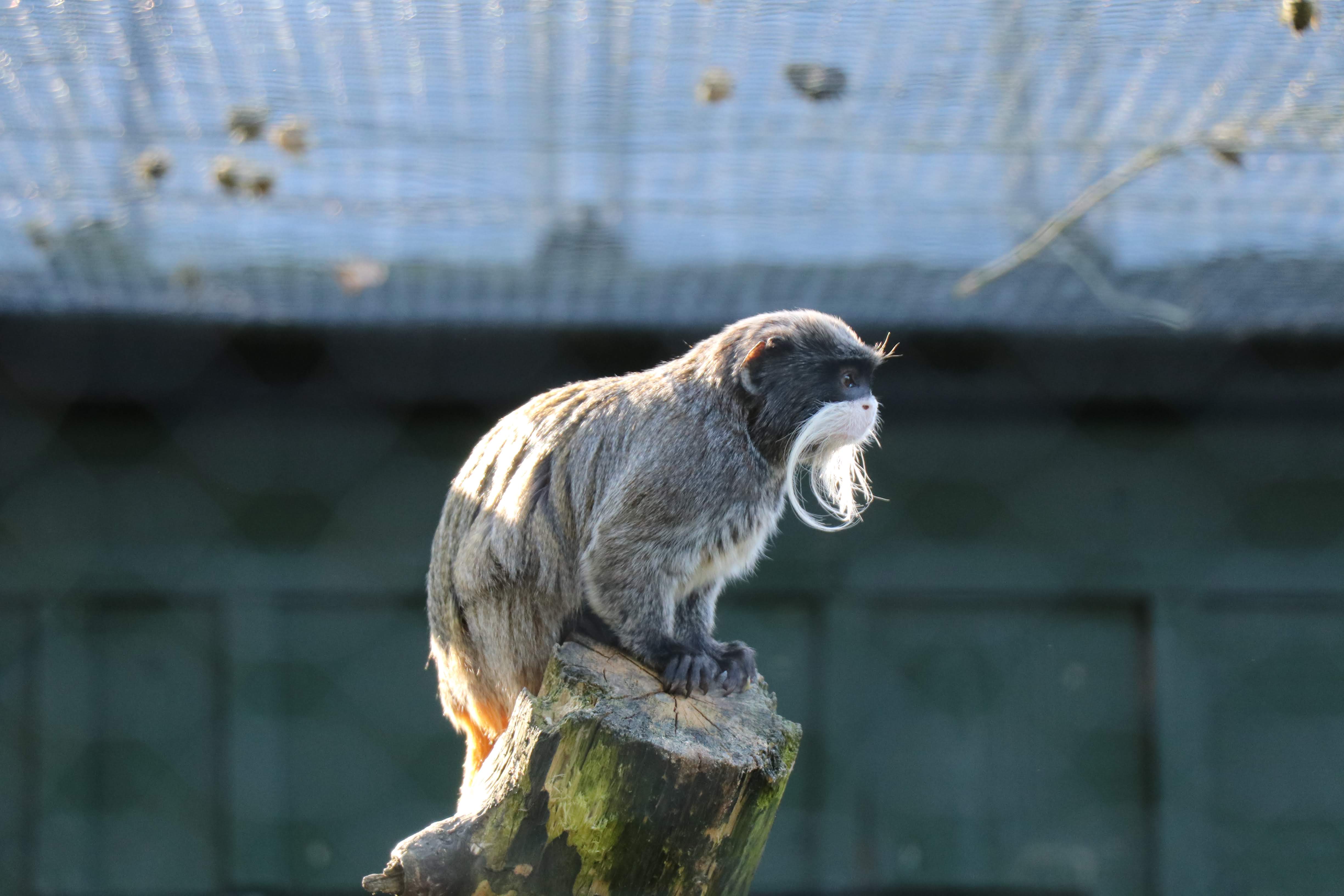 Photo n° 11 de l'avis de Julien.a fait le 21/04/2019 à 07:39