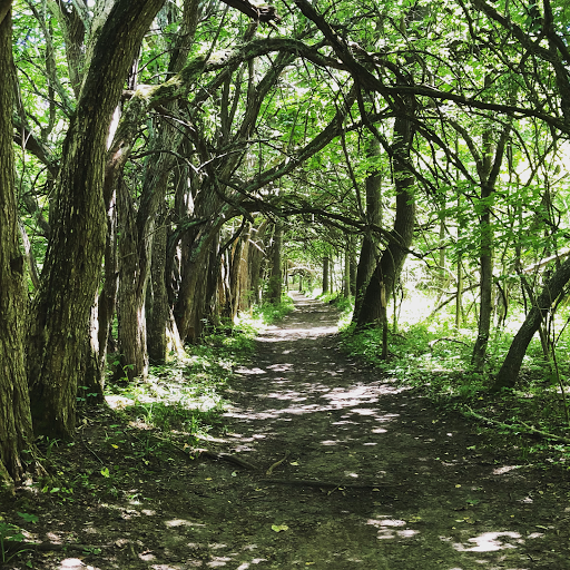 Trial Attorney «Dayton DUI», reviews and photos