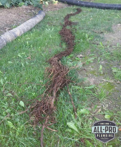 Plumber «All-Pro Plumbing, Inc.», reviews and photos, 606 S Locke St, Kokomo, IN 46901, USA