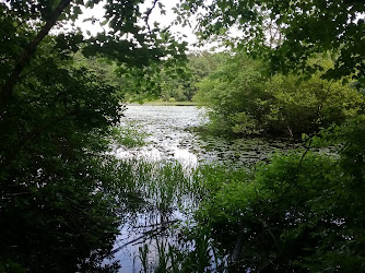 Mass Audubon's Oak Knoll Wildlife Sanctuary