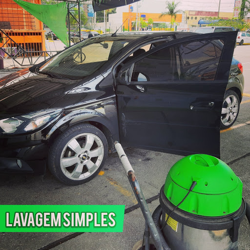 Logo da empresa - Lava Rápido Natural Wash - Taubaté