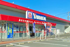 Yamada Denki image