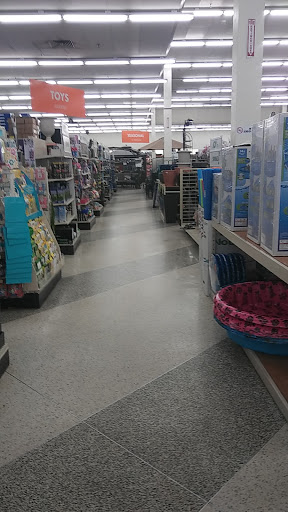 Discount Store «Big Lots», reviews and photos, 2412 S Volusia Ave, Orange City, FL 32763, USA