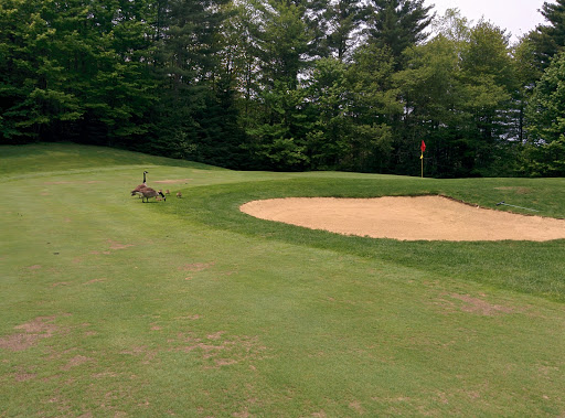 Golf Course «Green Mountain National Golf Course», reviews and photos, 476 Barrows Towne Rd, Killington, VT 05751, USA