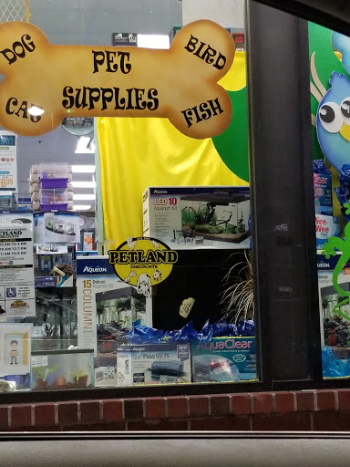 Pet Supply Store «Petland Discounts - Ozone Park», reviews and photos, 91-08 Atlantic Ave, Ozone Park, NY 11416, USA