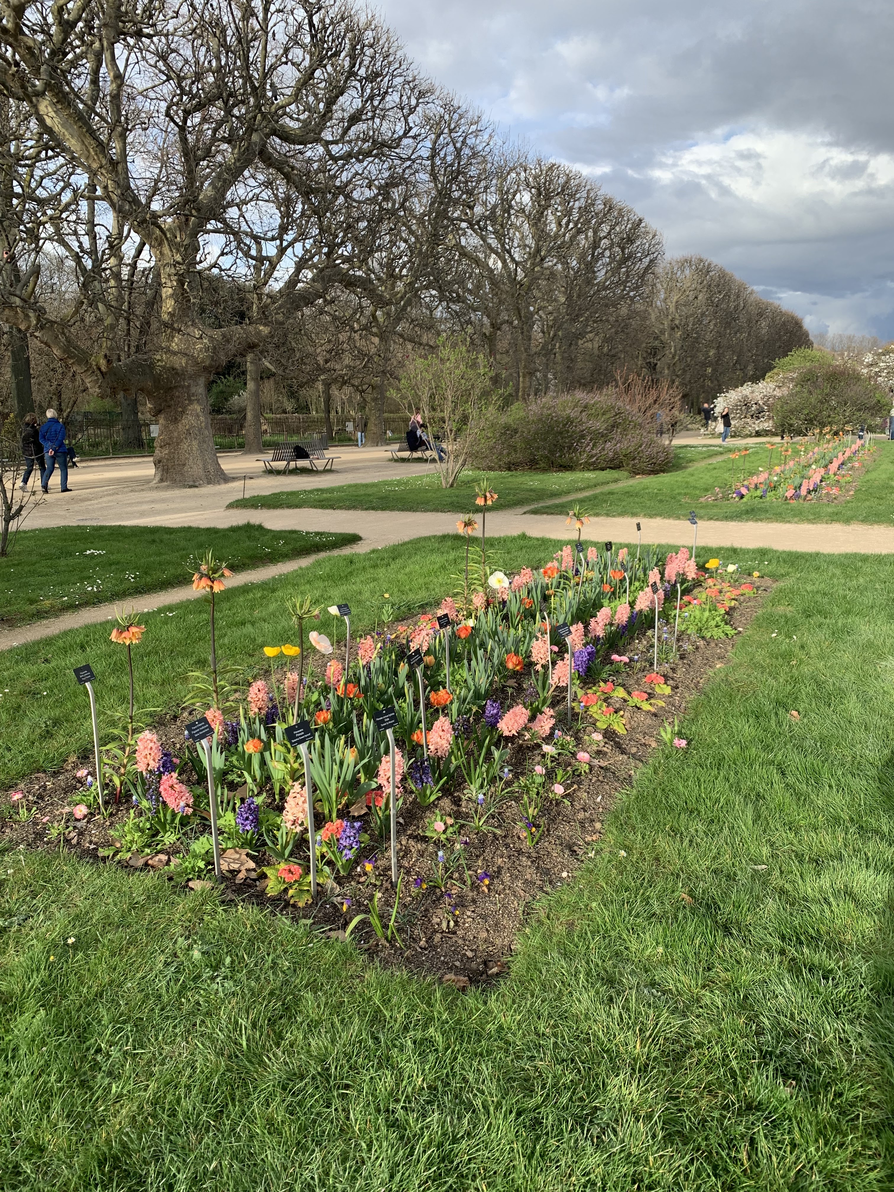 Photo n° 2 de l'avis de Marie.A fait le 18/03/2024 à 18:17