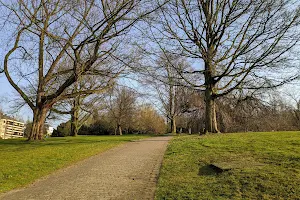 Kluse Park image