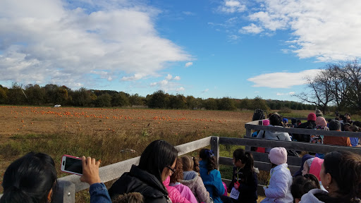 Produce Market «Solly Brothers», reviews and photos, 707 Almshouse Rd, Warminster, PA 18974, USA