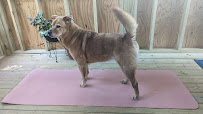 Pet Supplies Plus Murfreesboro East - Photo 6 - Car repair in Murfreesboro, TN, Murfreesboro