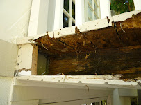 Sunny Coast Termite and Pest Control - Photo 8 - Car repair in , Anaheim
