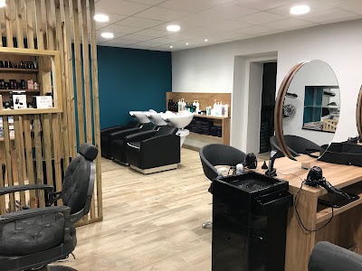 Changer D'hair à Segré-en-Anjou Bleu