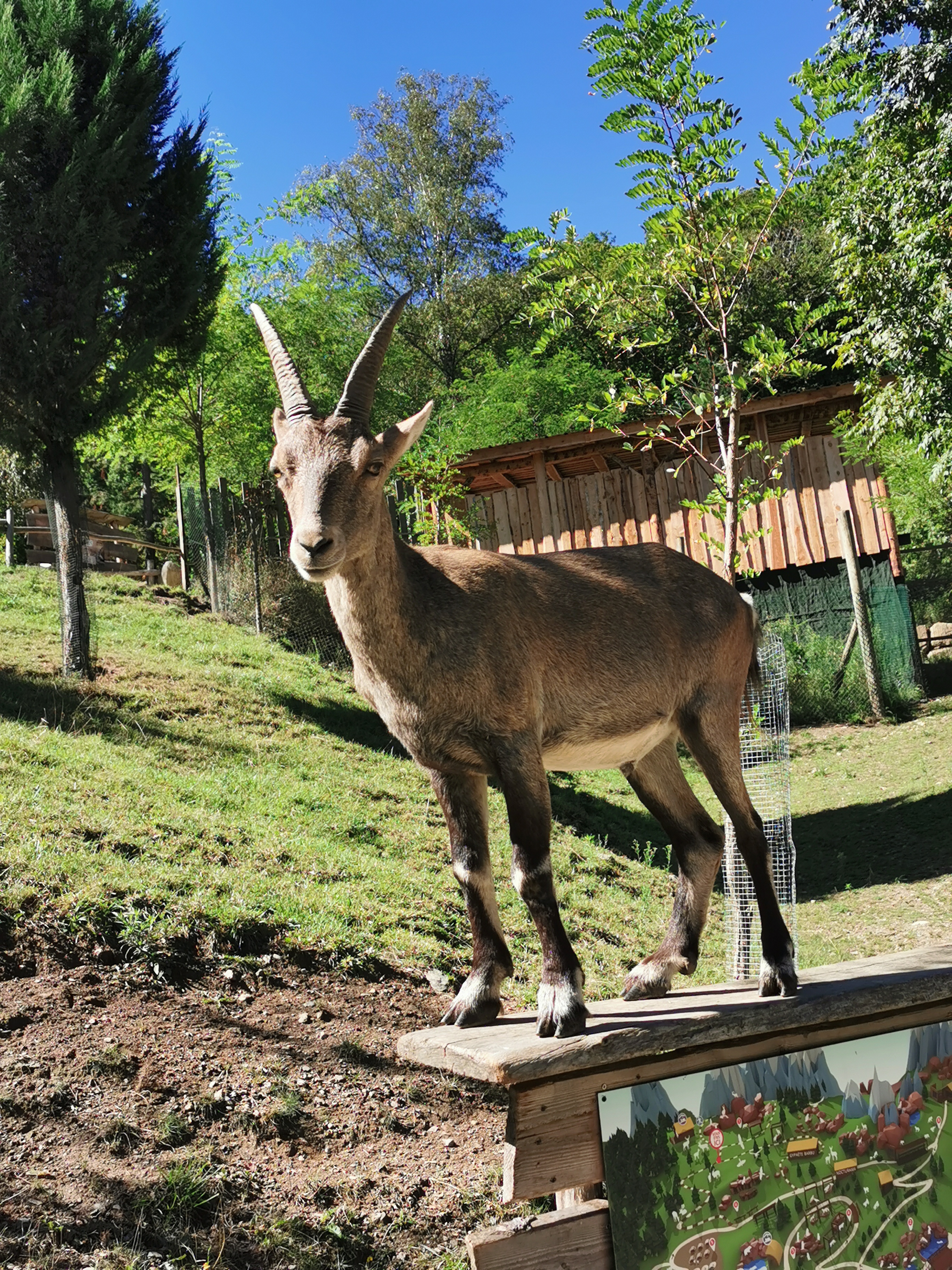 Photo n° 10 de l'avis de Sylvain.i fait le 03/09/2020 à 11:35