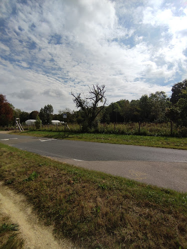 Centre de formation à distance CFPPAH Saint Germain en Laye Saint-Germain-en-Laye