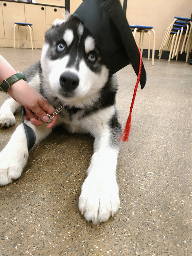 Pet Supply Store «PetSmart», reviews and photos, 4300 E Alameda Ave, Glendale, CO 80246, USA