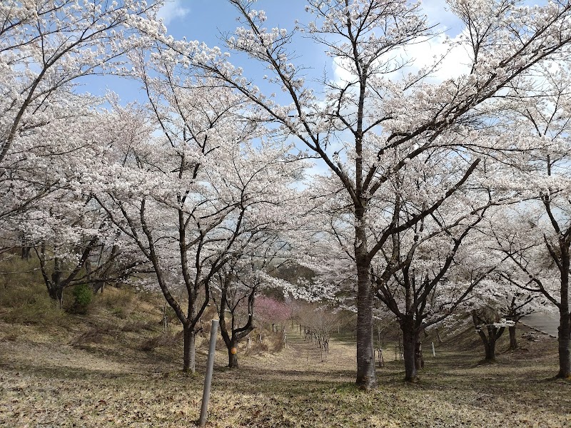 姫神公園