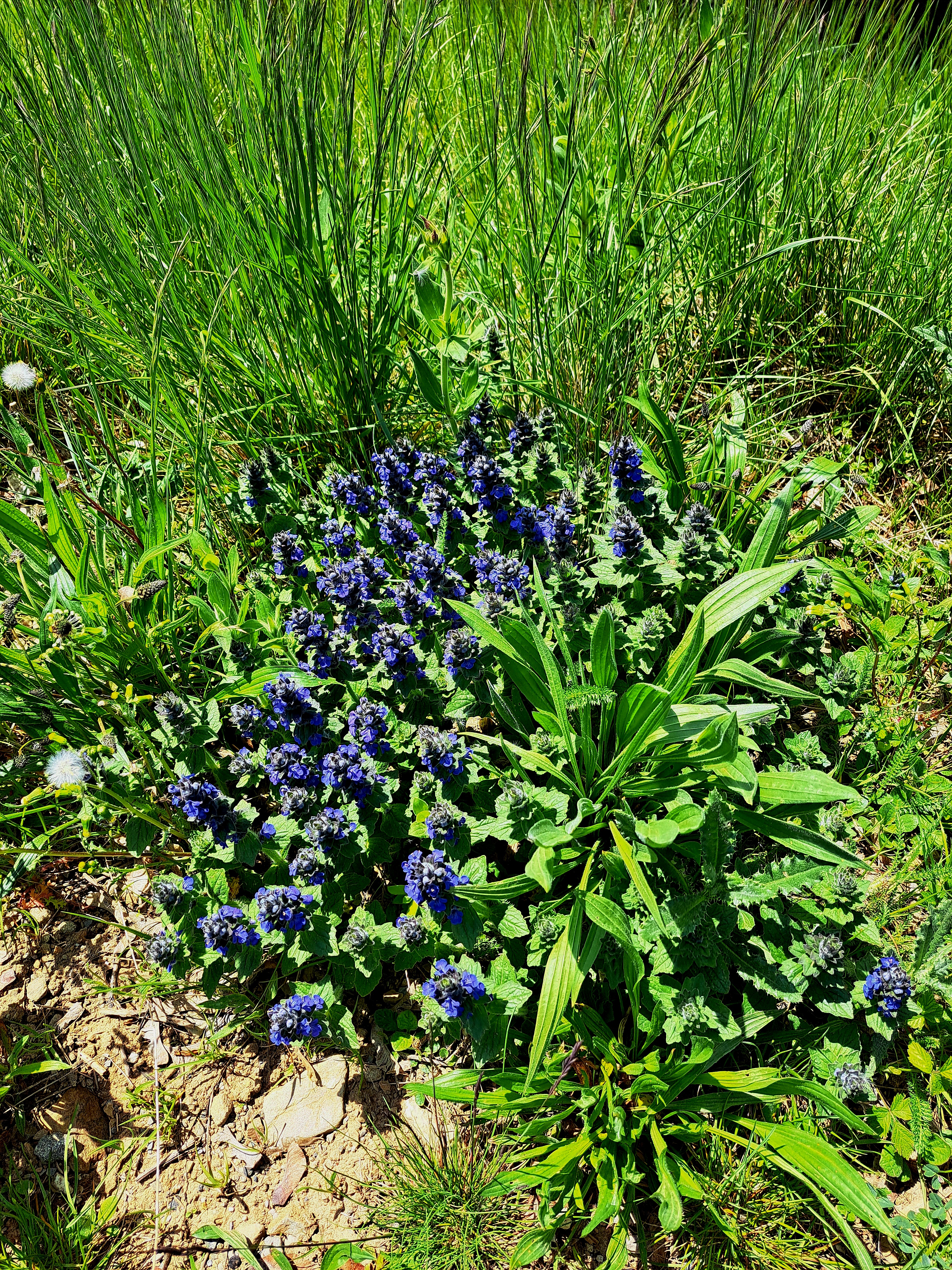 Photo n° 18 de l'avis de Patrick.i fait le 16/05/2023 à 16:28