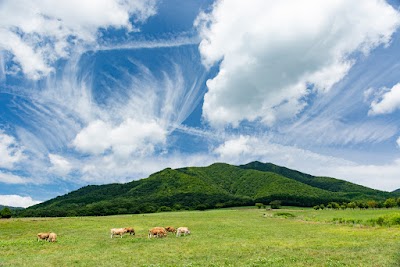 蒜山酪農農業協同組合 乳製品工場