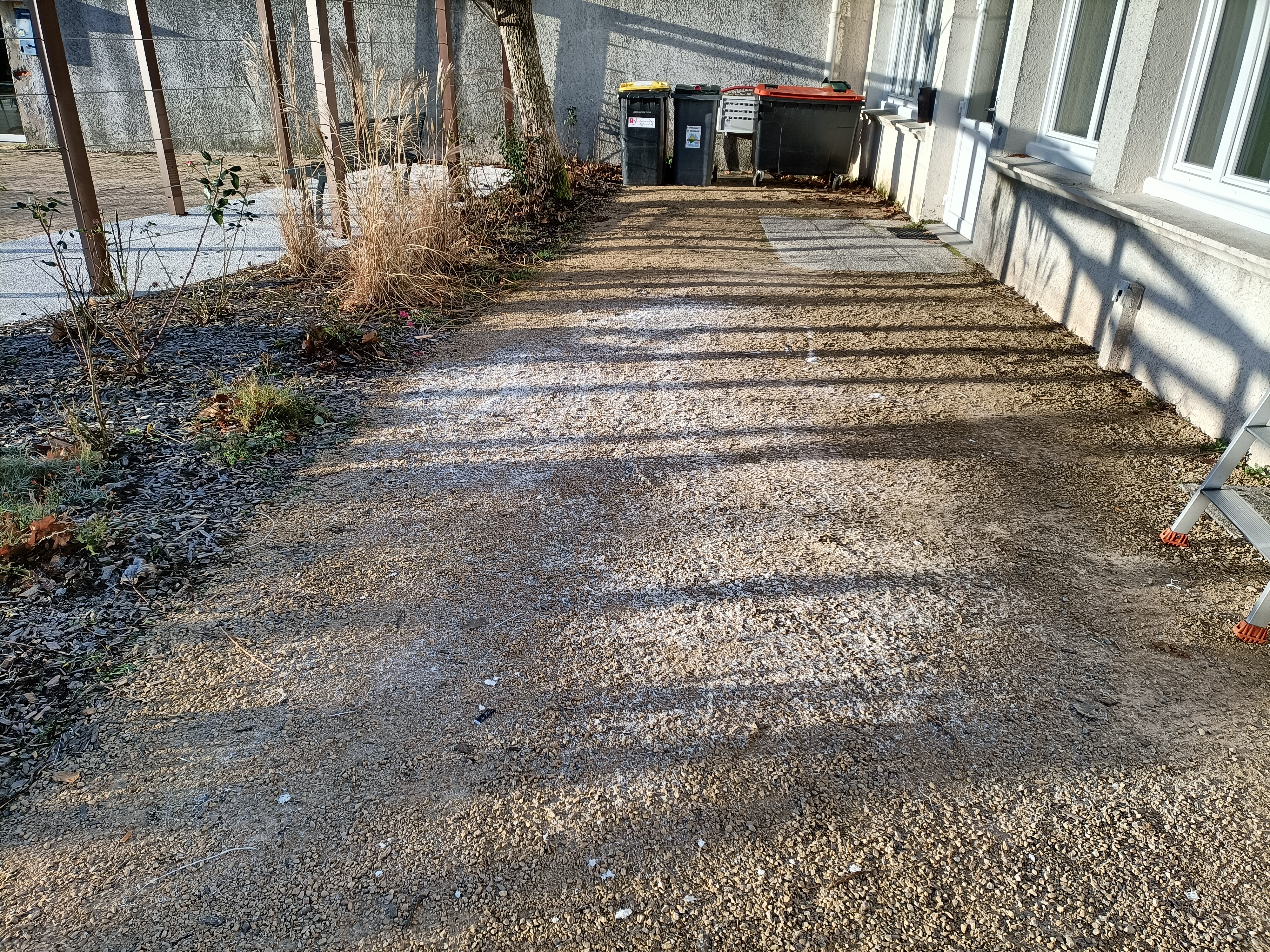 Photo n° 1 de l'avis de Anthone.e fait le 05/12/2021 à 08:10
