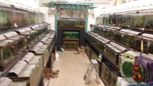 Pet Supply Store «Village Pet Shop», reviews and photos, 3008 Pacific Ave, Livermore, CA 94550, USA