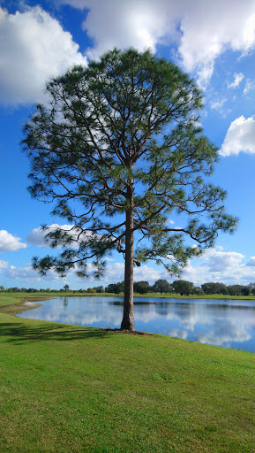 Golf Course «Indianwood Golf & Country Club», reviews and photos, 14007 SW Golf Club Dr, Indiantown, FL 34956, USA
