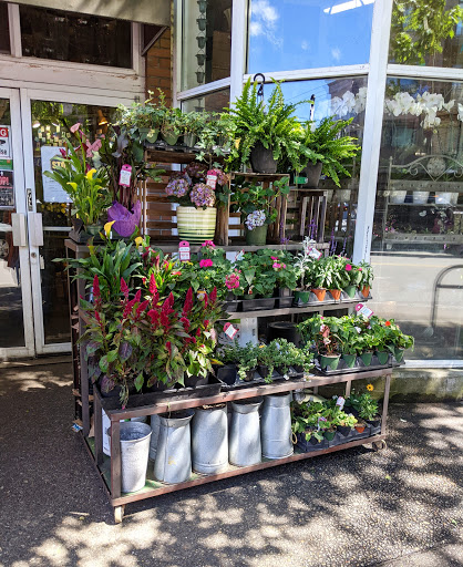 Florist «The Flower Lady», reviews and photos, 3230 Eastlake Ave C, Seattle, WA 98102, USA