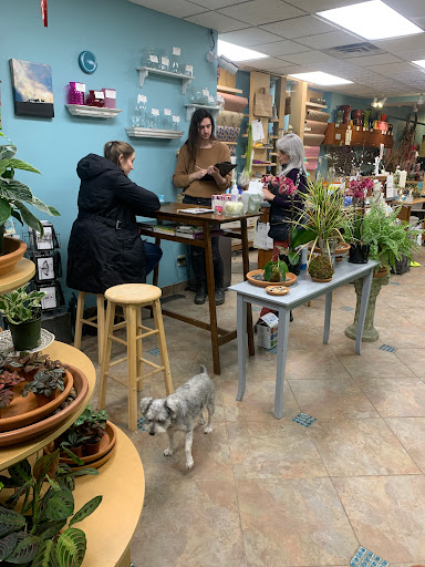 Florist «Your Enchanted Florist», reviews and photos, 1500 Dale St N, St Paul, MN 55117, USA