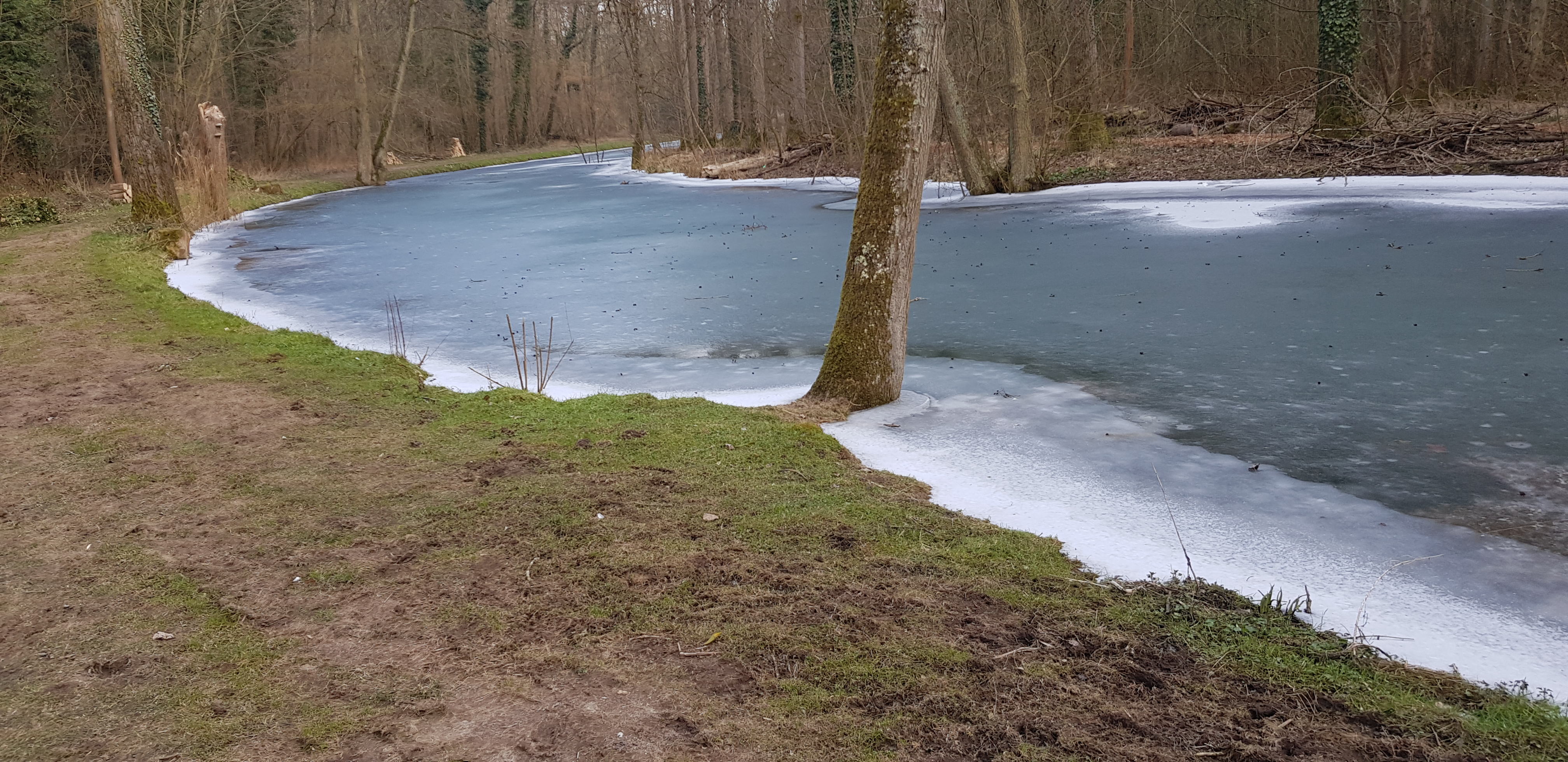 Photo n° 1 de l'avis de Pierre.a fait le 05/03/2018 à 11:36