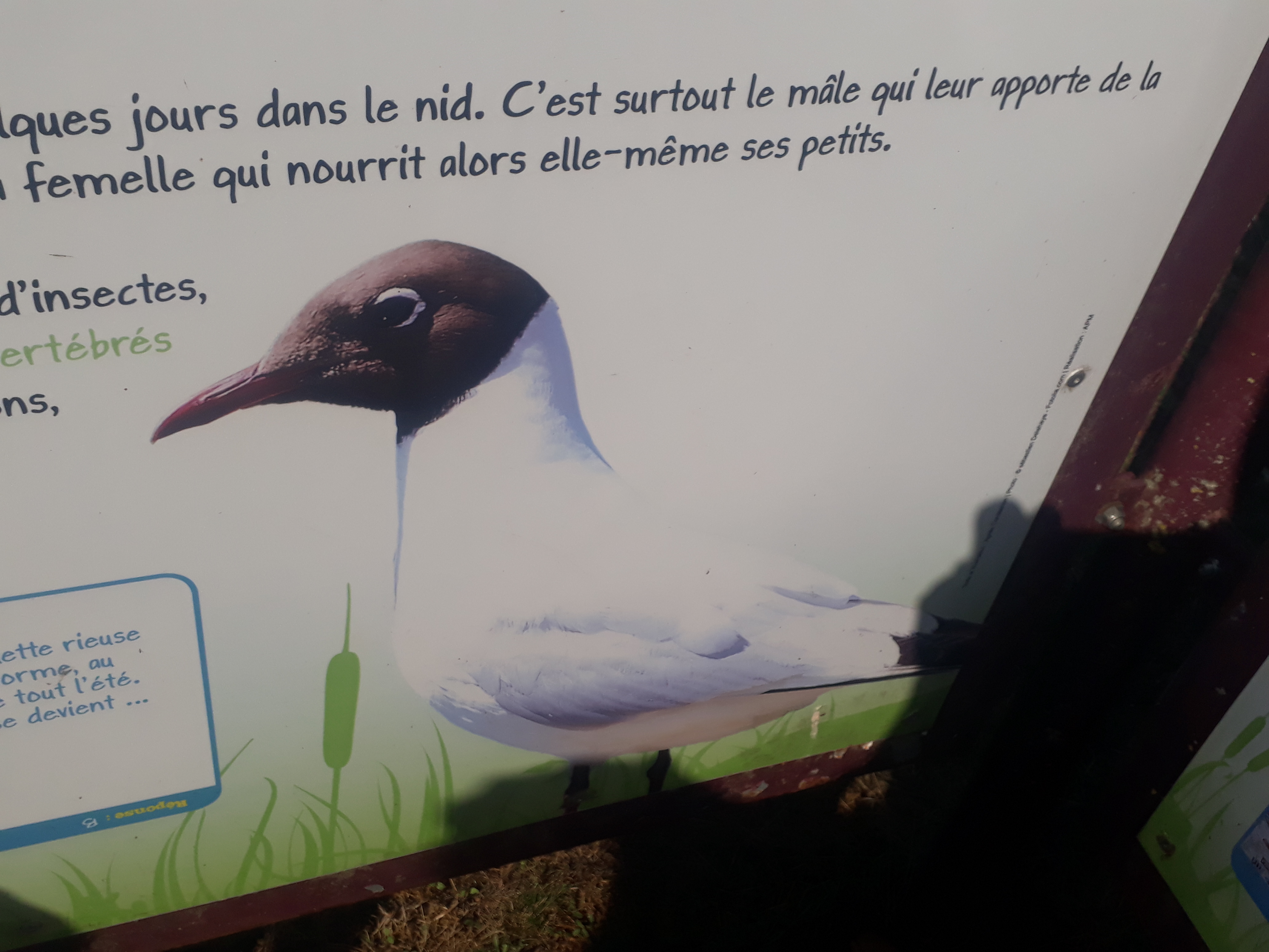 Photo n° 15 de l'avis de Karine.o fait le 13/08/2019 à 20:41
