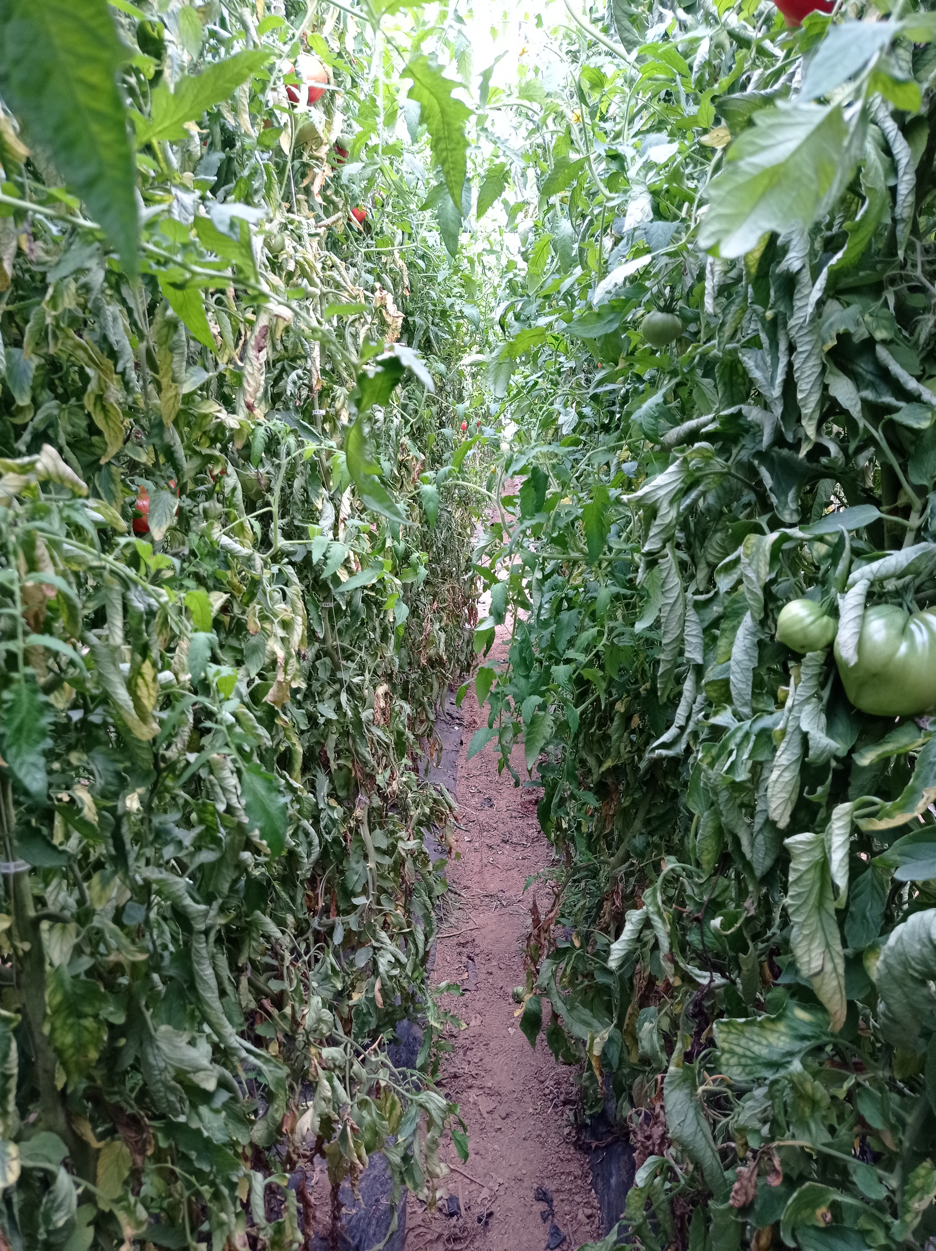 Photo n° 12 de l'avis de alexandre.u fait le 27/08/2023 à 13:21