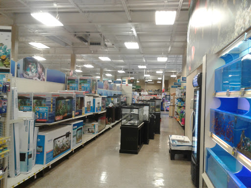 Pet Supply Store «PetSmart», reviews and photos, 288 West Ave, Stamford, CT 06902, USA