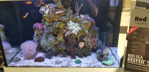 Tropical Fish Store «Pisces Reef Fish Emporium, LLC», reviews and photos, 9326 W Sahara Ave, Las Vegas, NV 89117, USA