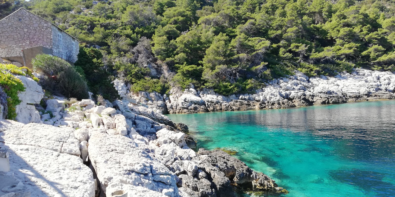 Zdjęcie Barje beach z poziomem czystości wysoki