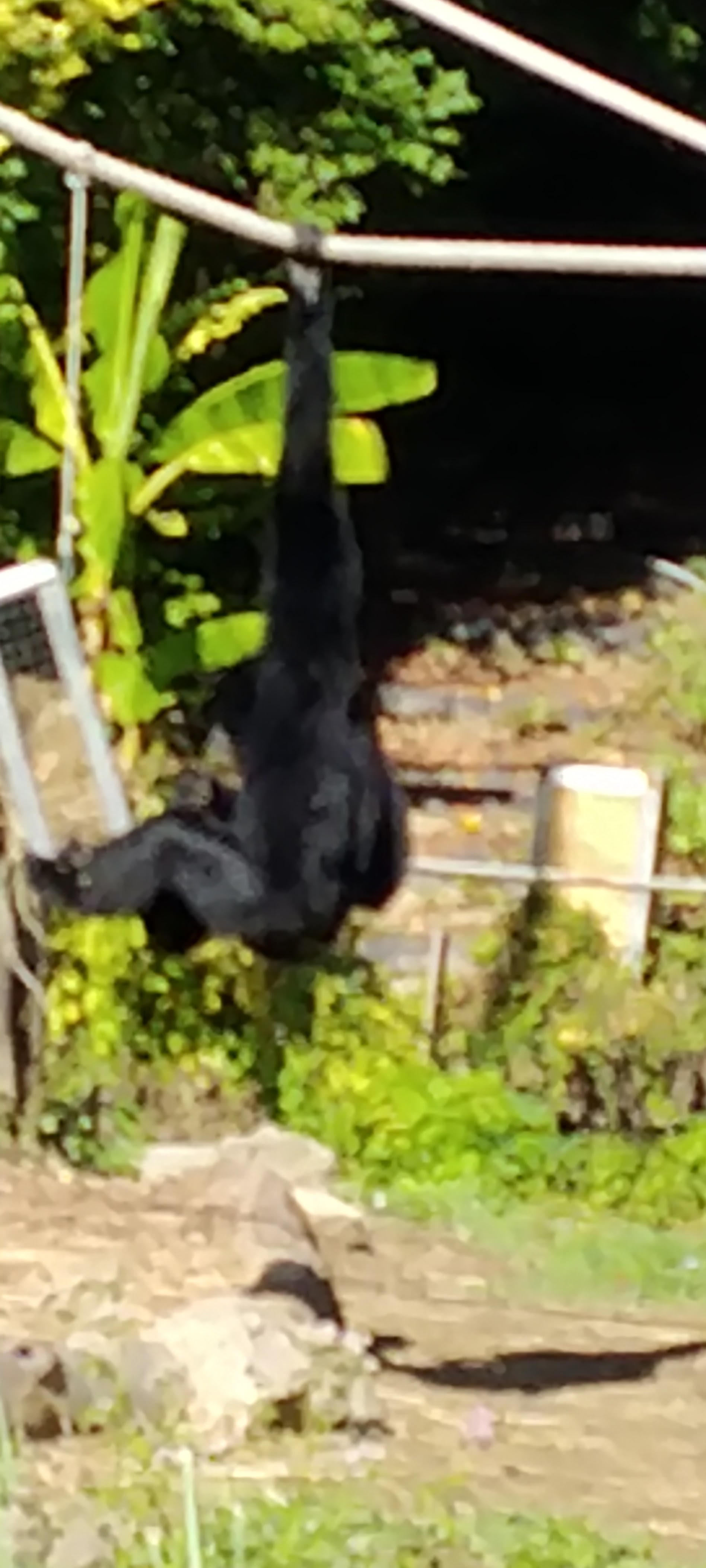 Photo n° 12 de l'avis de Bernard.e fait le 12/09/2022 à 09:16