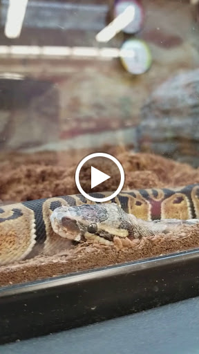 Pet Supply Store «Petco Animal Supplies», reviews and photos, 22000 Dulles Retail Plaza #110, Sterling, VA 20166, USA