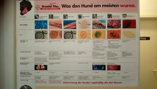 Dr.med.vet. Regina Mosebach vet unter Römhild, 