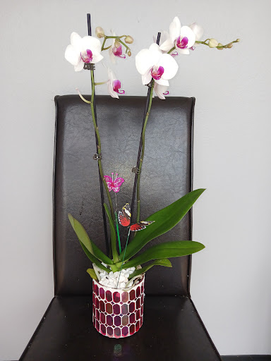 Florist «Treasures To Adore», reviews and photos, 1313 Carolyn Ct, Humble, TX 77338, USA
