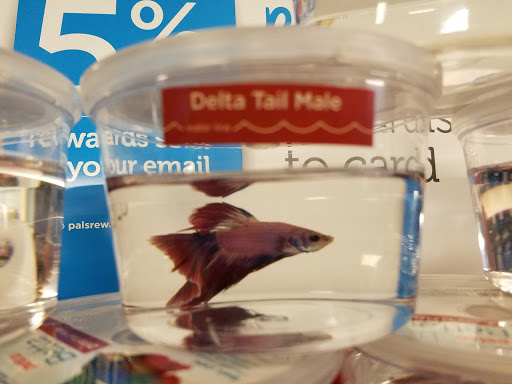 Pet Supply Store «Petco Animal Supplies», reviews and photos, 1100 Middle Country Rd, Selden, NY 11784, USA