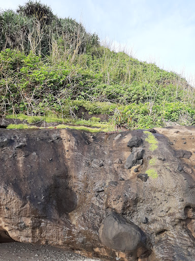 Top 20 cửa hàng akemi Huyện Lý Sơn Quảng Ngãi 2022