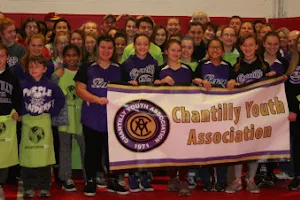 Chantilly Youth Association image